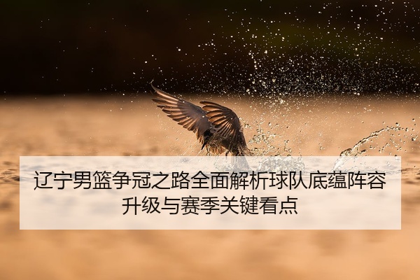 辽宁男篮争冠之路全面解析球队底蕴阵容升级与赛季关键看点